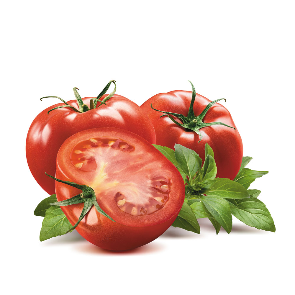 Company-1000-Tomato